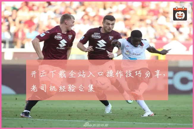 开云下载全站入口操作技巧分享，老司机经验合集