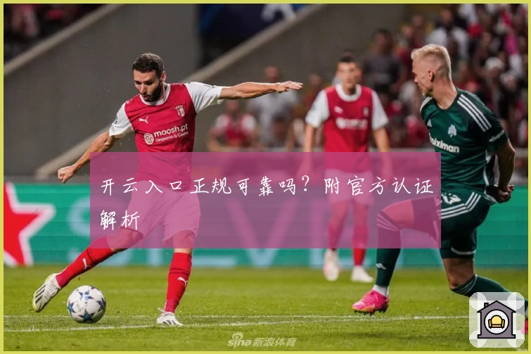 开云入口正规可靠吗?附官方认证解析