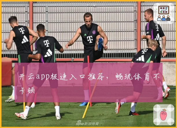 开云app极速入口推荐，畅玩体育不卡顿