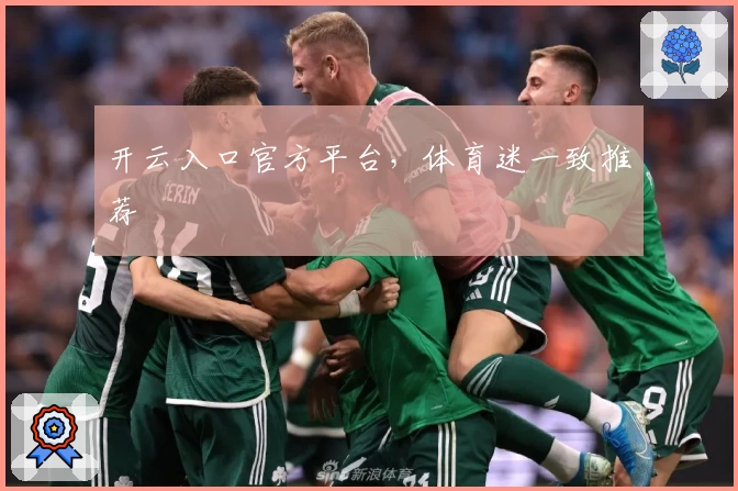 开云入口官方平台，体育迷一致推荐