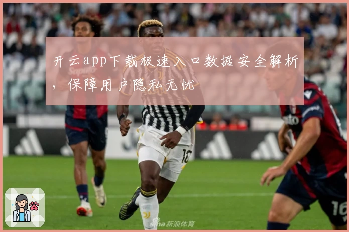 开云app下载极速入口数据安全解析,保障用户隐私无忧