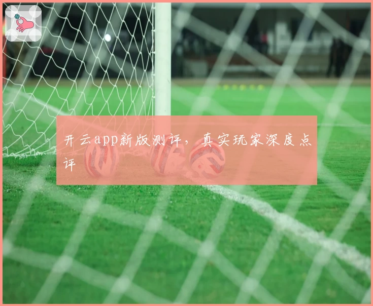 开云app新版测评，真实玩家深度点评