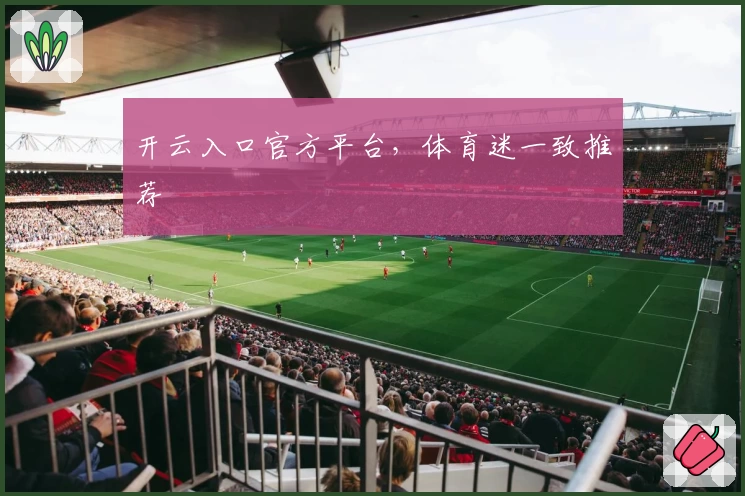 开云入口官方平台，体育迷一致推荐